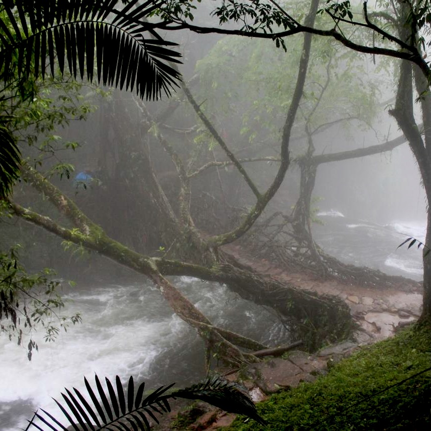 Meghalaya